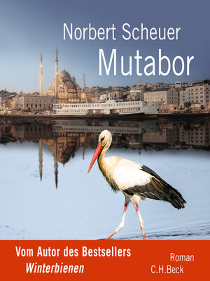 cover image of Mutabor